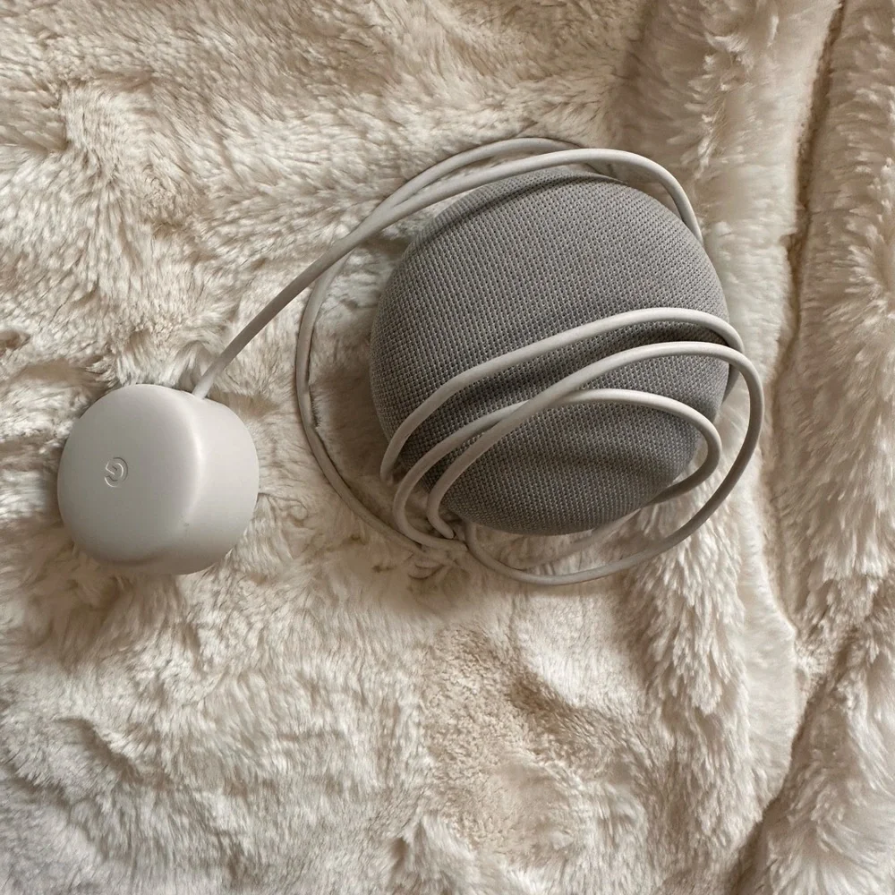 Google home. No box. Used condition.